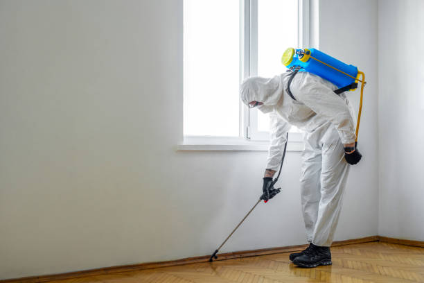 Best Affordable Pest Control Services  in Jemez Pueblo, NM