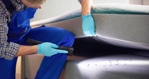 Best Bed Bug Extermination  in Jemez Pueblo, NM