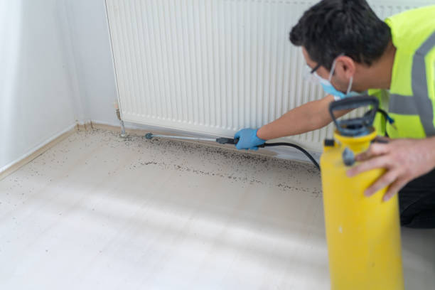 Trusted Jemez Pueblo, NM Pest Control Experts