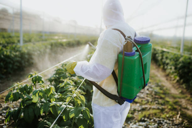 Best Pest Inspection Near Me  in Jemez Pueblo, NM